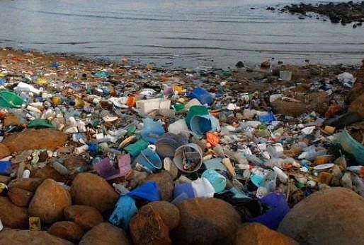 "Sulle nostre spiagge regna la plastica" - Qui News Cecina