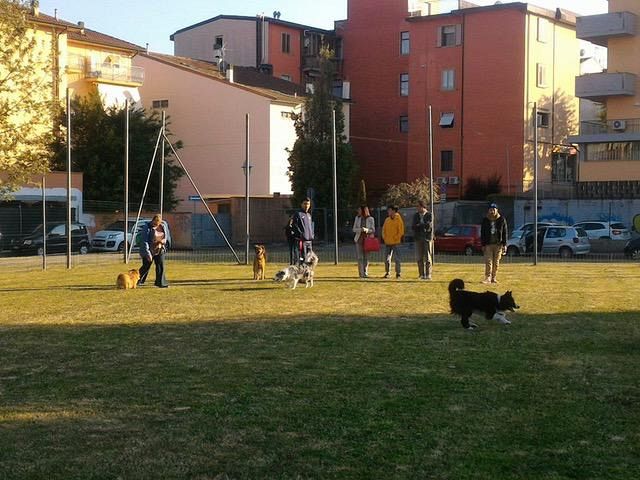 Nuova area cani a Spicchio - Qui News Empolese