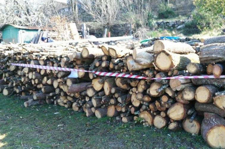 Trecento quintali di legna nella casa abusiva - Qui News Firenze
