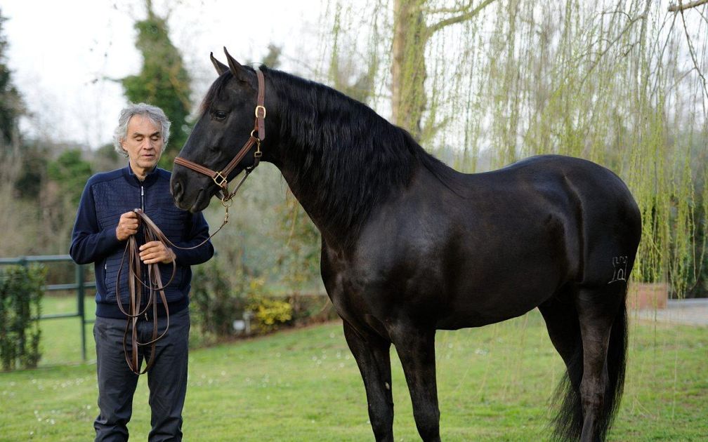 A Luigia Pallavicini Caduta Da Cavallo Testo E Parafrasi