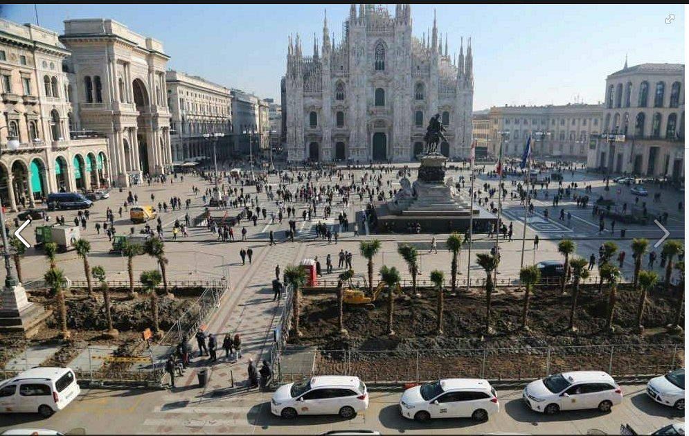Milano copia Pontedera, palme in piazza Duomo - Qui News Valdera