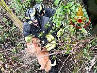 L'intervento di soccorso