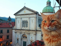 Il gatto Rino e il Duomo di Pontremoli