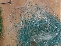 L'operazione della polizia penitenziaria