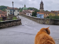 Il gatto Rino rimira il borgo