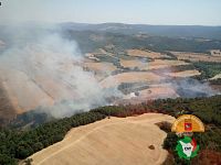L'incendio a Suvereto