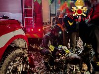 Il cane tratto in salvo