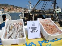 La protesta dei pescherecci