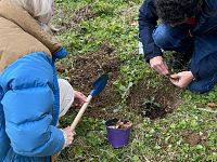 La prima piantumazione