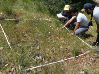 Gli scienziati al lavoro nel Parco della Maremma