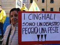 La manifestazione a Lucca