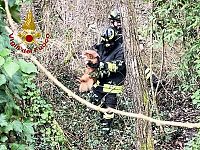 L'intervento di soccorso