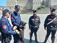 I carabinieri, il cane Ritter e i suoi conduttori dell'unità cinofila della polizia municipale