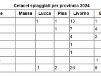 tabella spiaggiamenti per provincia