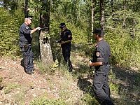L'intervento dei carabinieri forestali nel Senese