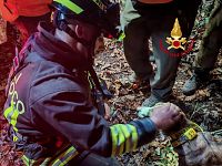 Il cane tratto in salvo