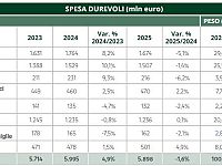 La spesa in beni durevoli per comparto tabella