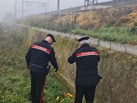 Le indagini sono state condotte dai carabinieri