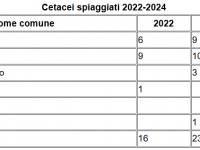 tabella spiaggiamenti