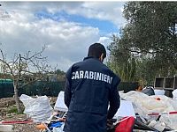 carabinieri forestali