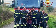 Cagnolina in difficoltà salvata dai pompieri
