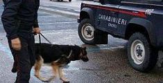 Cani antidroga scovano hashish nelle scuole 