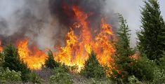 A fuoco i campi, le fiamme minacciano un podere 