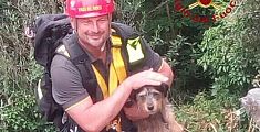 Cane cade in un dirupo, salvato dai pompieri