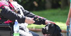 La pet therapy entra nella residenza per anziani