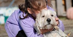 Cani in cattedra insegnano l'amicizia