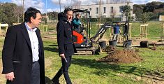 Oltre 500 nuovi alberi nei giardini delle scuole