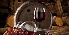 Scoperti 7mila ettolitri di falso vino toscano