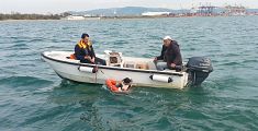 Stava annegando, guardia costiera salva un cane