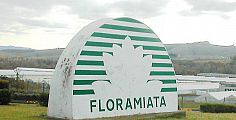 Il lavoratori di Floramiata dal sindaco Tondi