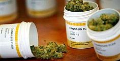 Per la cannabis terapeutica basterà una ricetta