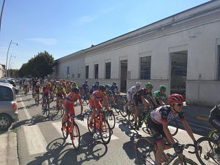 I ciclisti in viale Piaggio a Pontedera