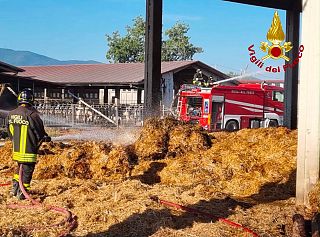 I vigili del fuoco sul luogo dell'incendio