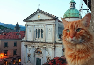 Il gatto Rino e il Duomo di Pontremoli