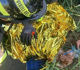 cane vigili fuoco