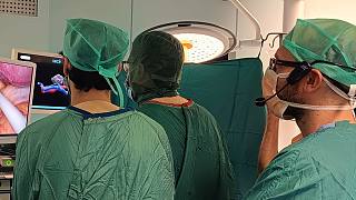 L'utilizzo del software per la ricostruzione anatomica 3D di un rene