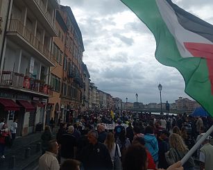 Pisa manifestazione