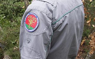 divisa carabinieri forestali