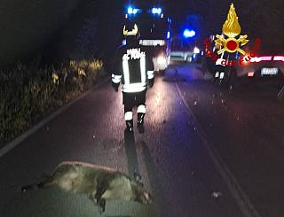 Vigili del fuoco