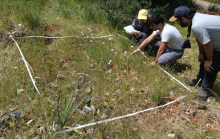 Gli scienziati al lavoro nel Parco della Maremma