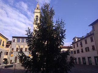 L'albero di Natale sistemato stamani in piazza Varchi