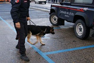 carabinieri cane