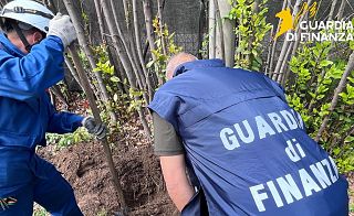 guardia di finanza e personale Enel