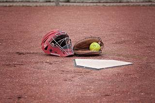 guantone softball