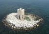 www.gazzettadilivorno.it