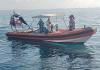 www.gazzettadilivorno.it